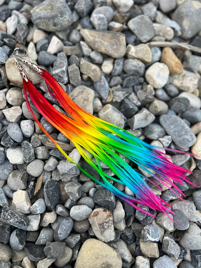 Rainbow ombré pride festival long feather earrings