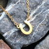 Horseshoe stainless steel necklace