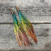 "HoopWest” Grizzly Rainbow Fade Earrings